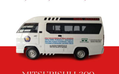 Mitsubishi L300