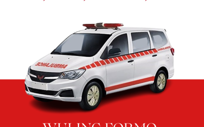 Wuling Formo