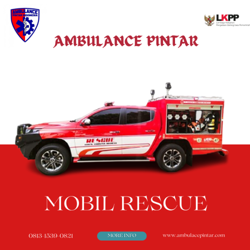 Mobil Rescue