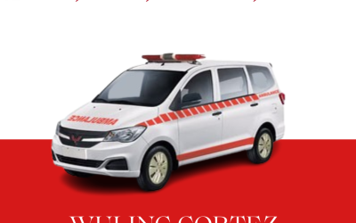 Wuling Cortex