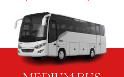 Medium Bus
