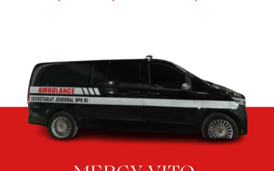 Mercy Vito