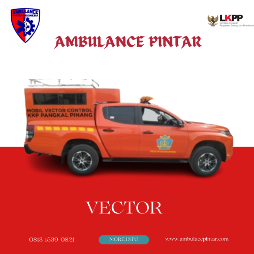 Vector